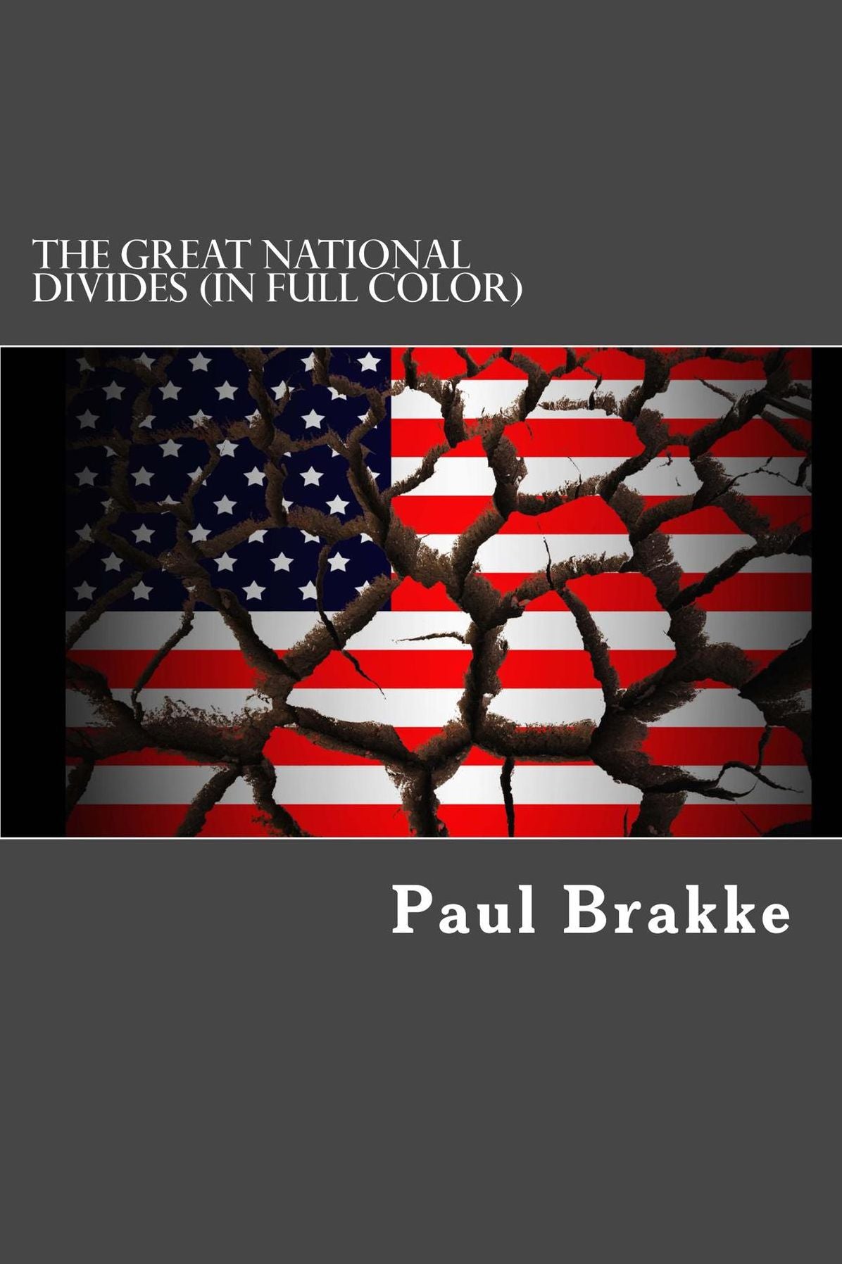 The Great National Divides (in Full Color): Why the United States Is So Divided and How It Can Be Put Back Together Again
