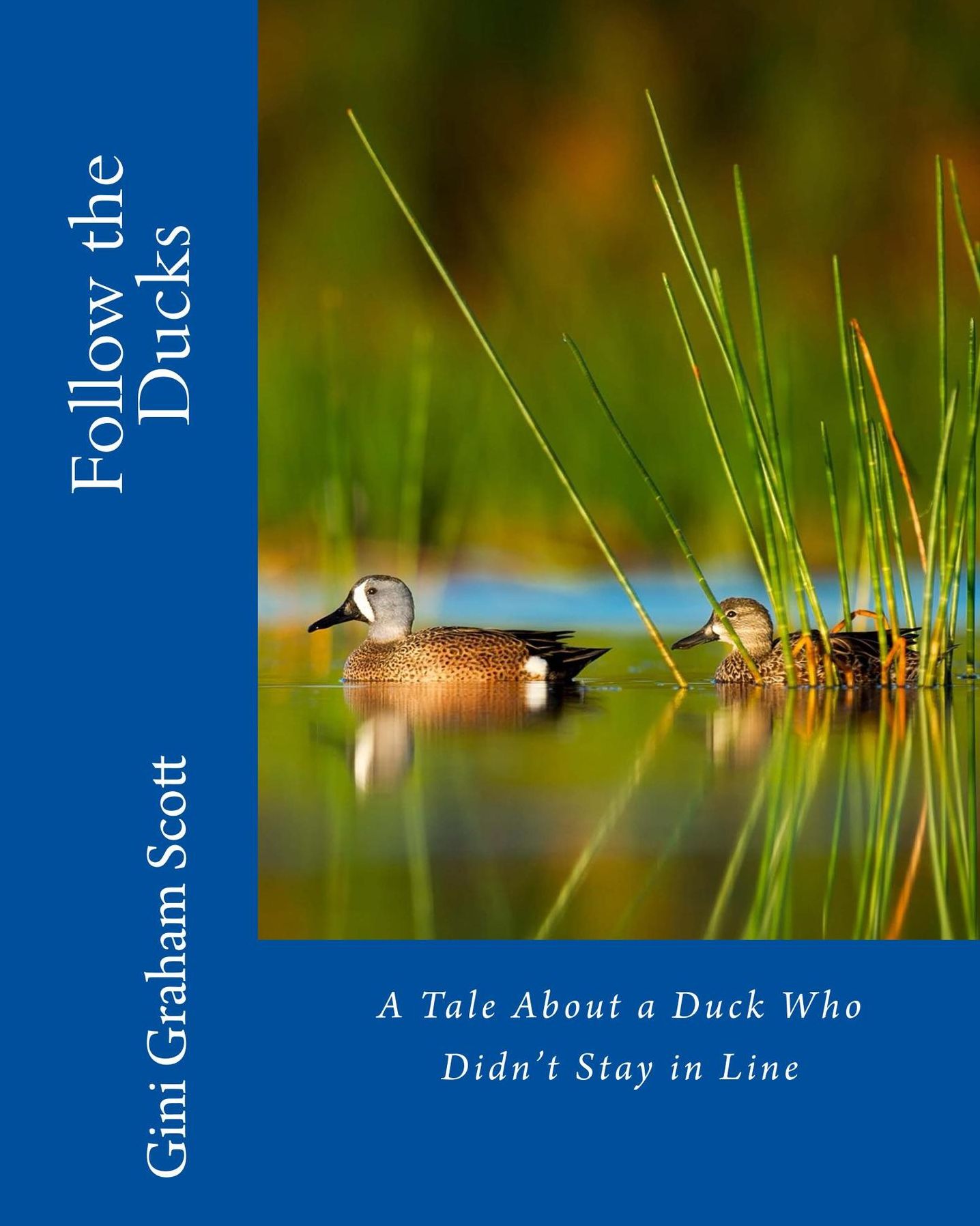 Follow the Ducks: A Tale About a Duck Who Didn't Stay in Line
