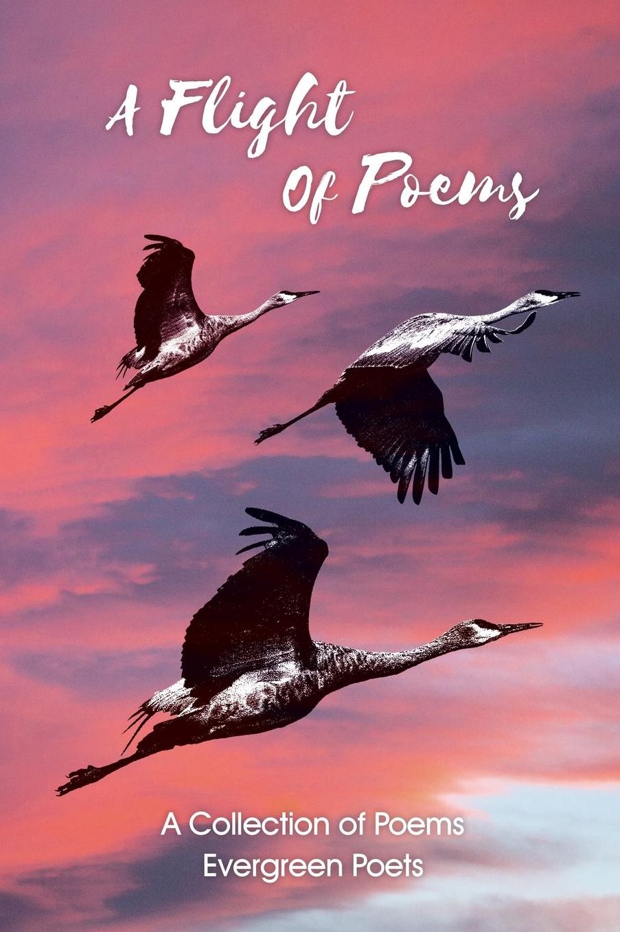 A Flight of Poems: A Collection of Poems
