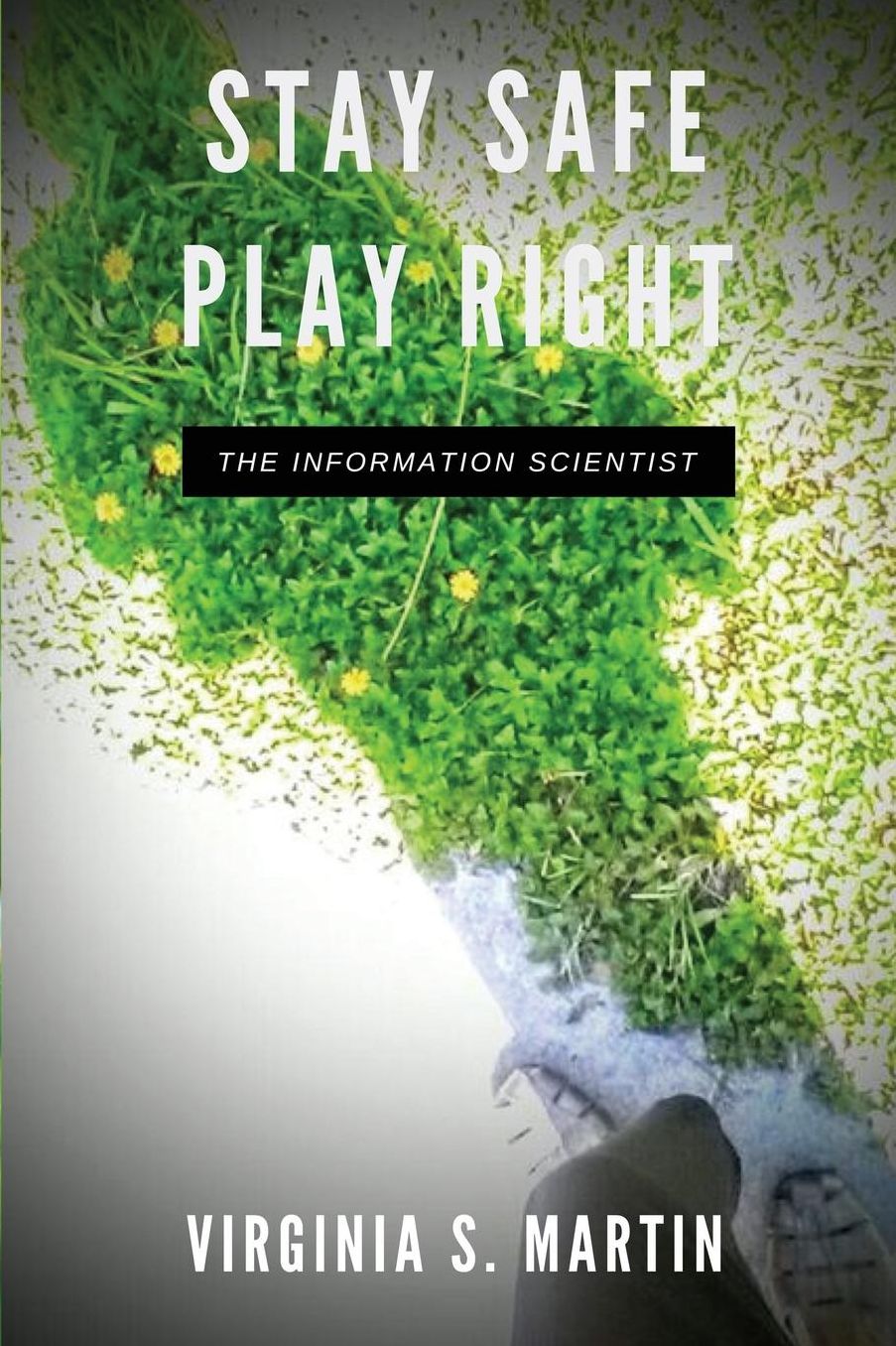 Stay Safe, Play Right: The Information Scientist