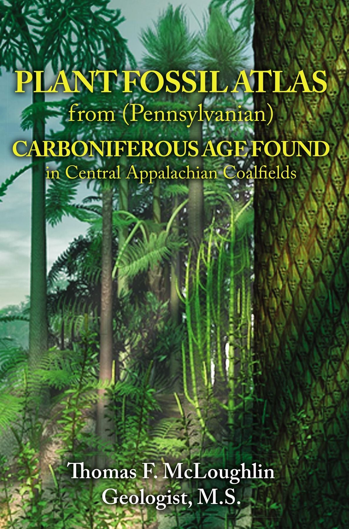 PLANT FOSSIL ATLAS from (Pennsylvanian) CARBONIFEROUS AGE FOUND in Central Appalachian Coalfields