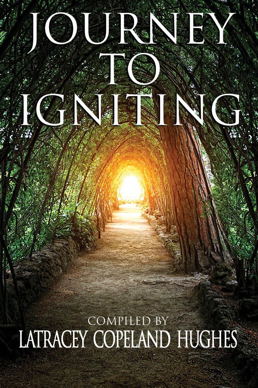 Journey To Igniting