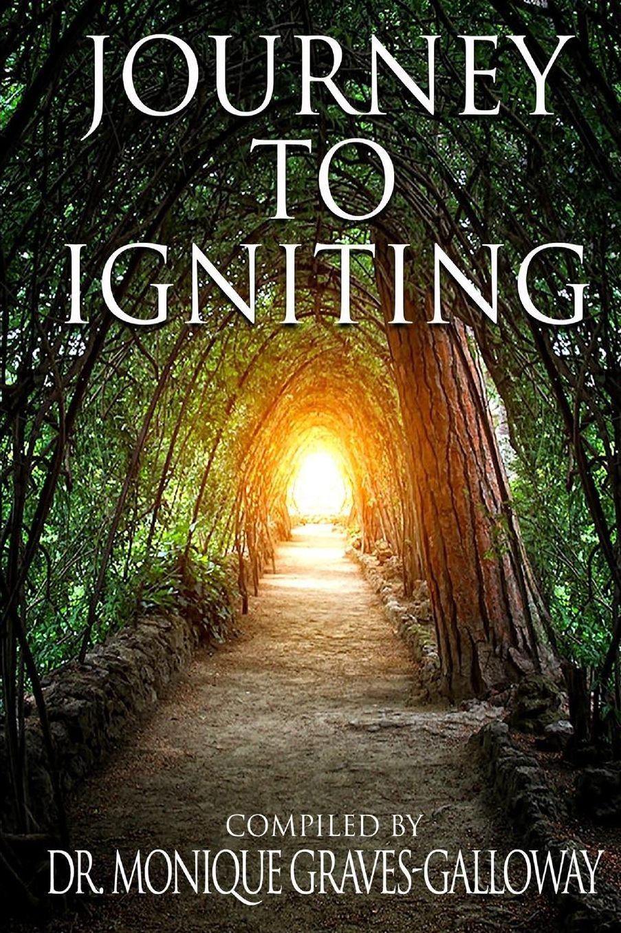 Journey To Igniting