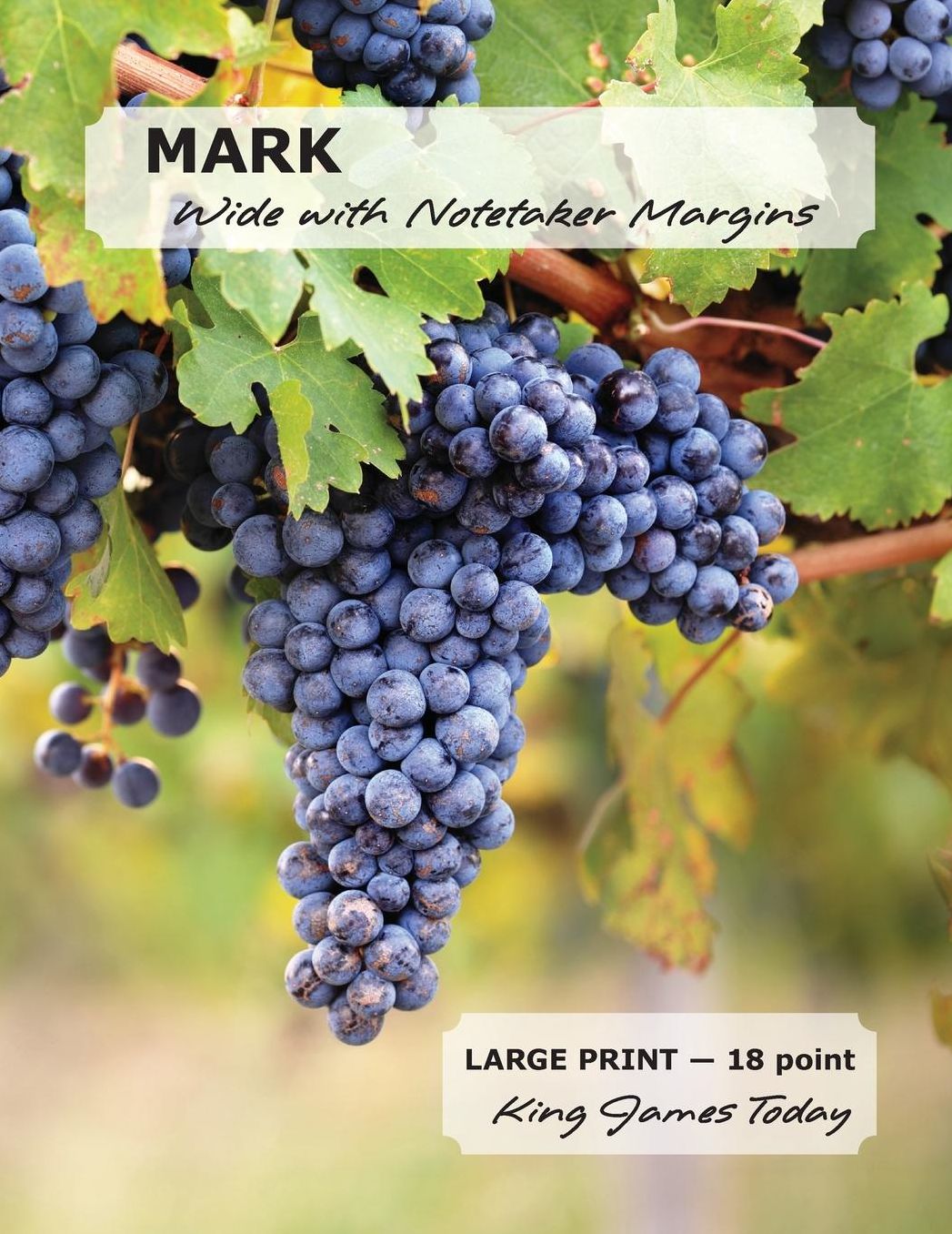 Mark Wide with Notetaker Margins: Large Print - 18 Point, King James Today(tm)