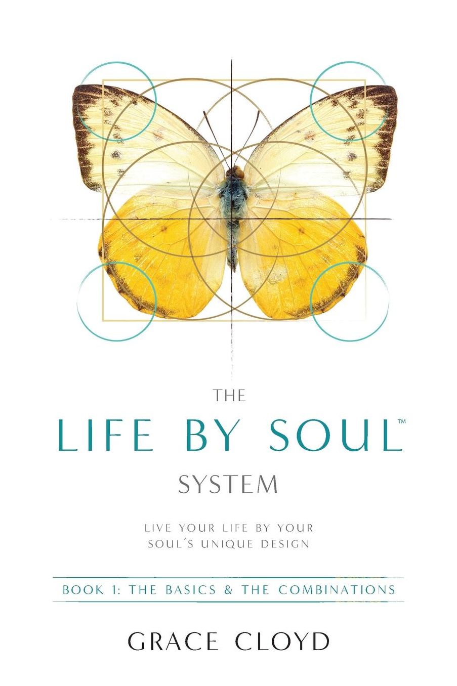 The Life by Soul System: Book 1 The Basics & The Combinations