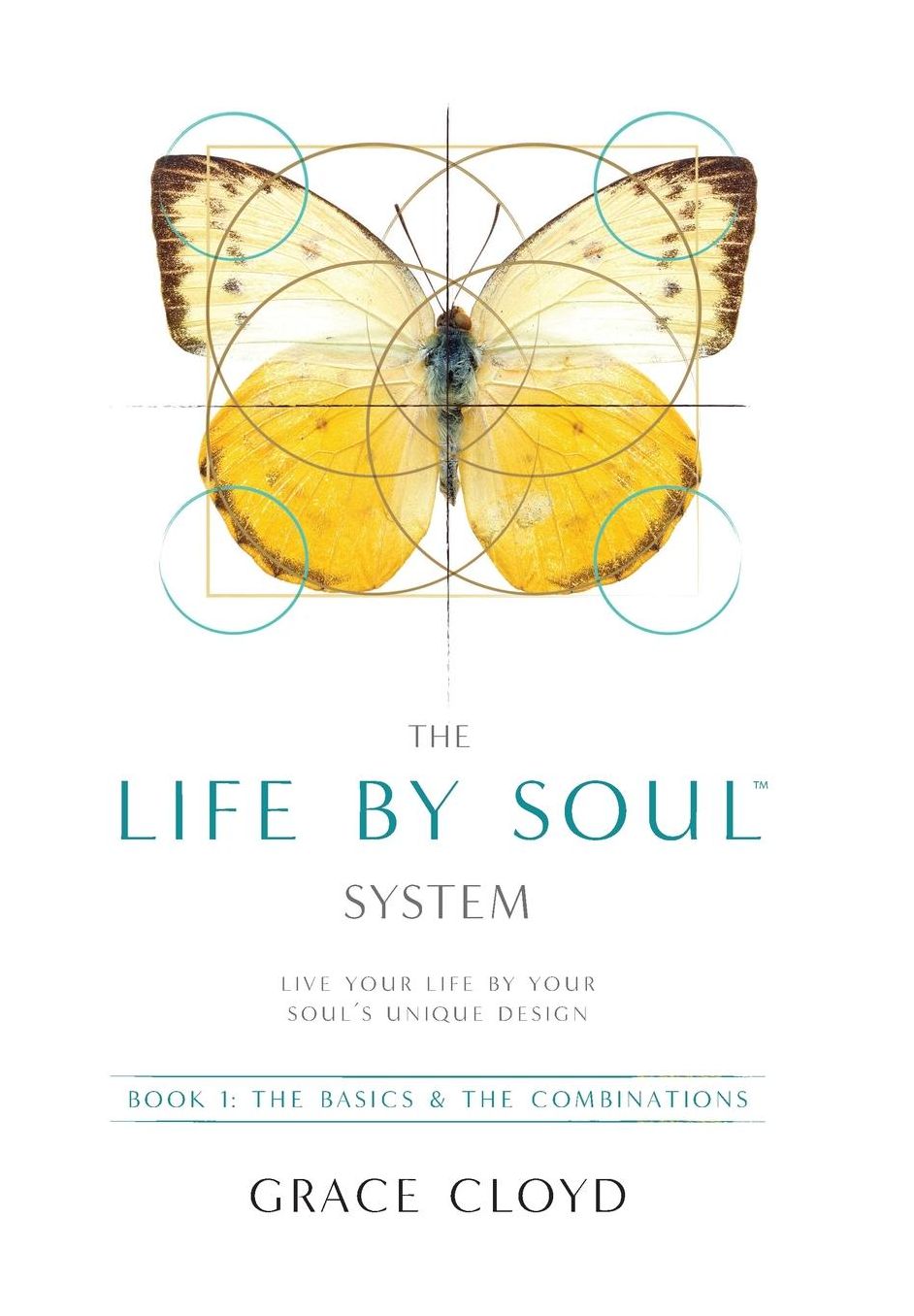 The Life by Soul System: Book 1 The Basics & The Combinations