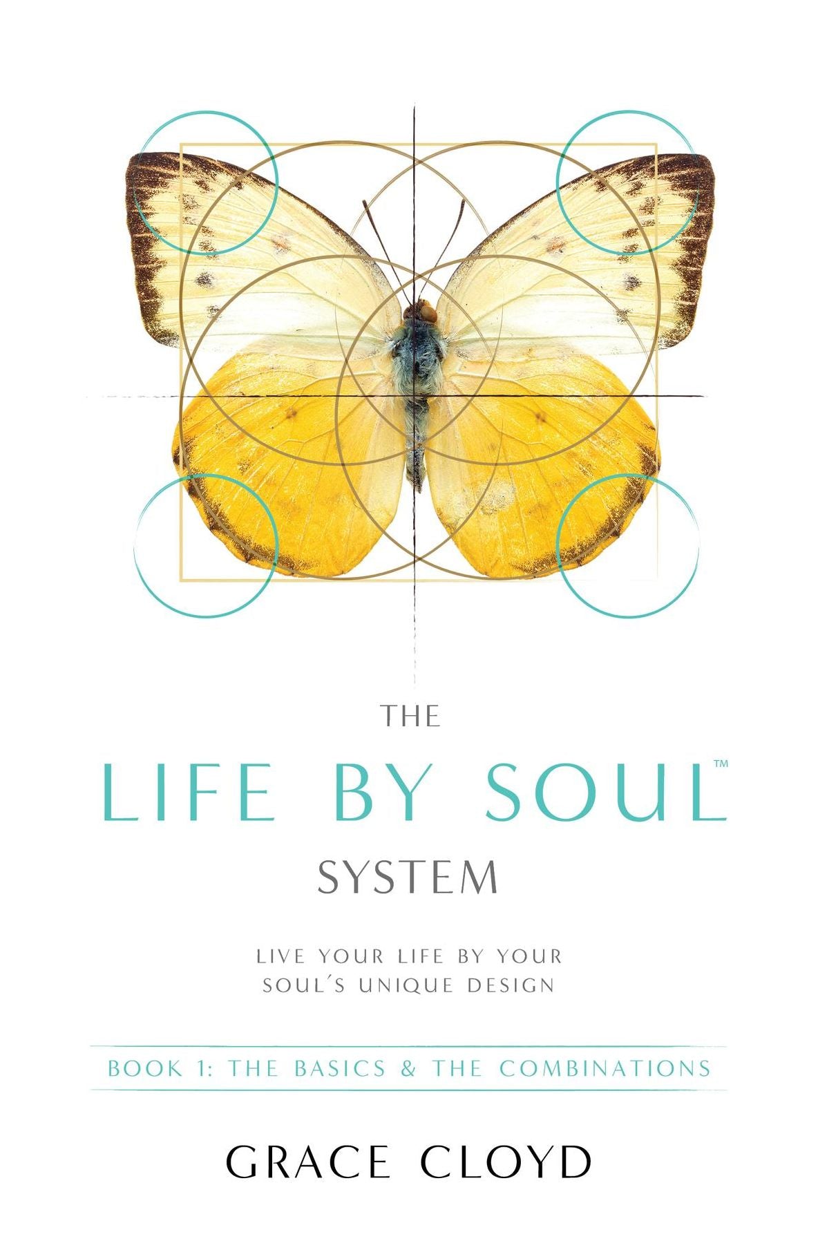 The Life by Soul System: Book 1 The Basics & The Combinations