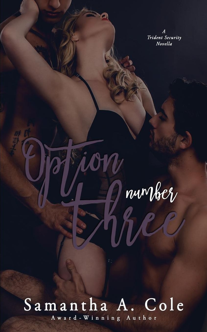 Option Number Three: A Trident Security Novella Book 7.5