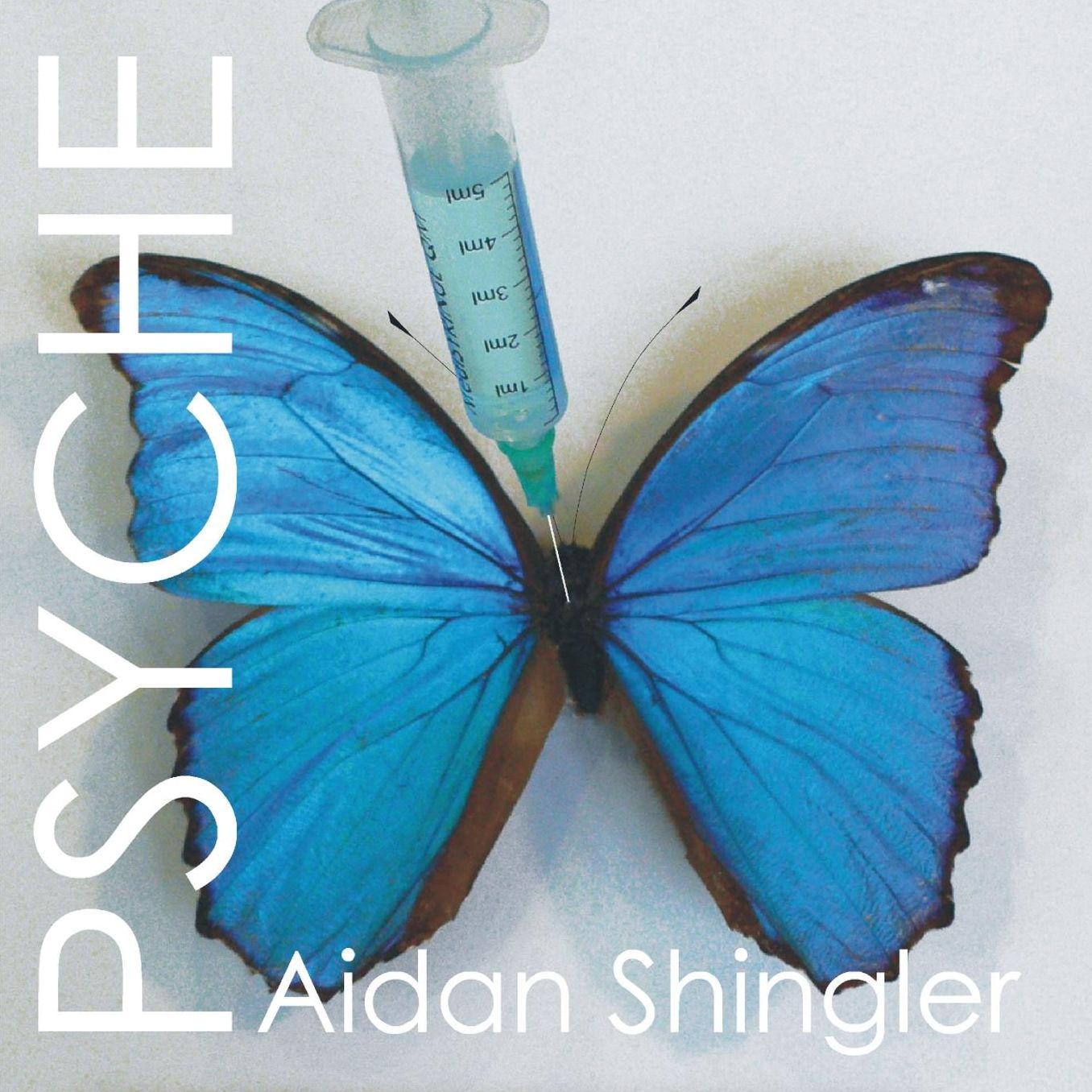 Psyche: The visionary potential of unusual states of consciousness