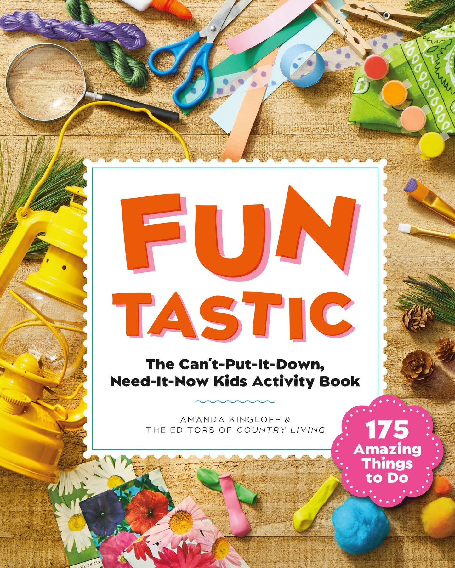 Fun-tastic!: The Can't-Put-It-Down, Need-it-Now Activity Book