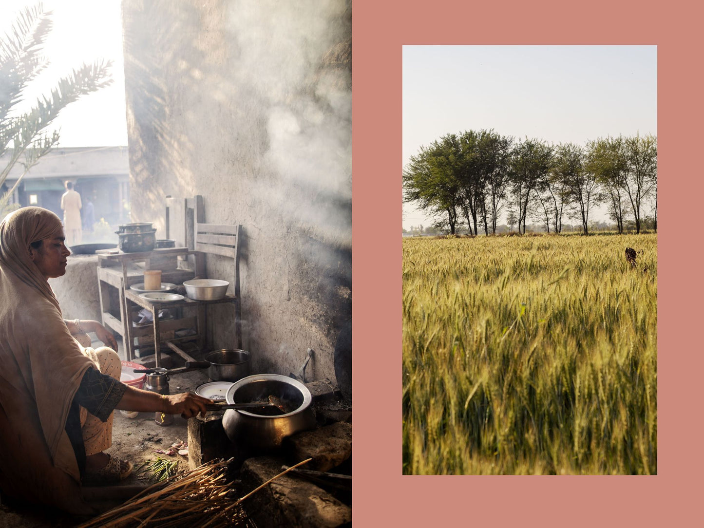 Pakistan: Recipes and Stories from the Country's Home Kitchens, Restaurants, and Roadside Stands