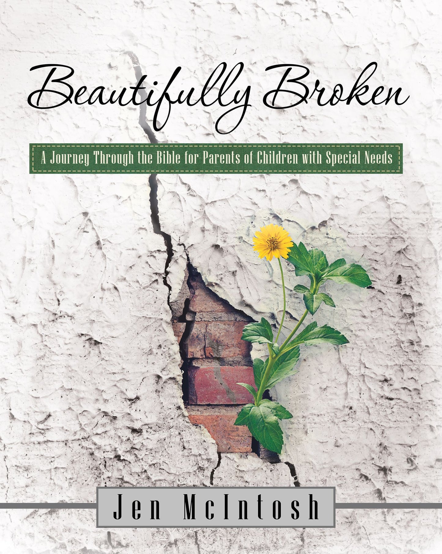 Beautifully Broken: A Journey Through the Bible for Parents of Children with Special Needs