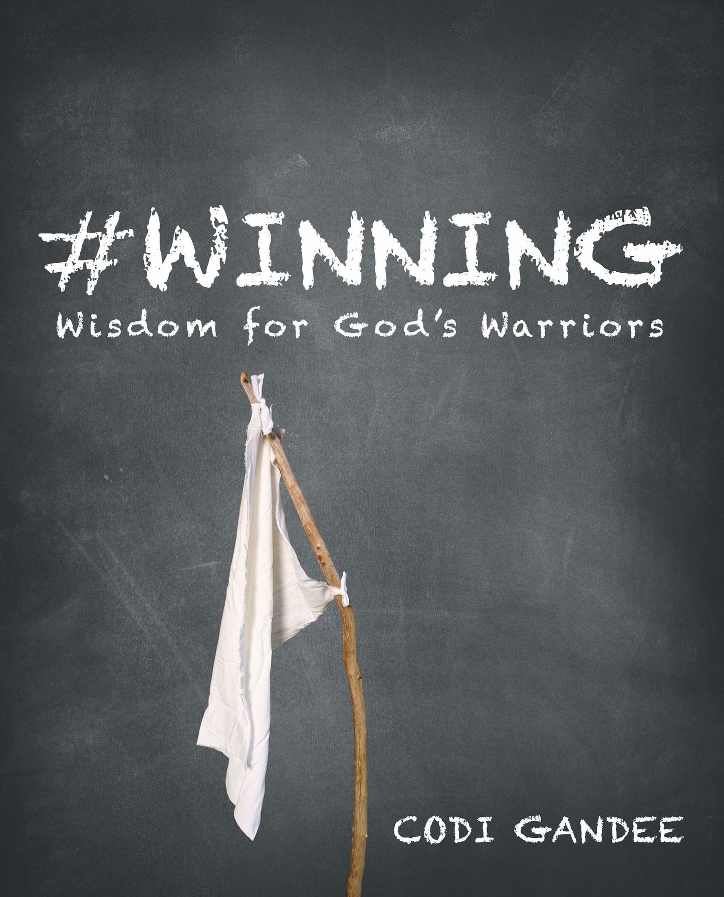 #Winning: Wisdom for God'S Warriors