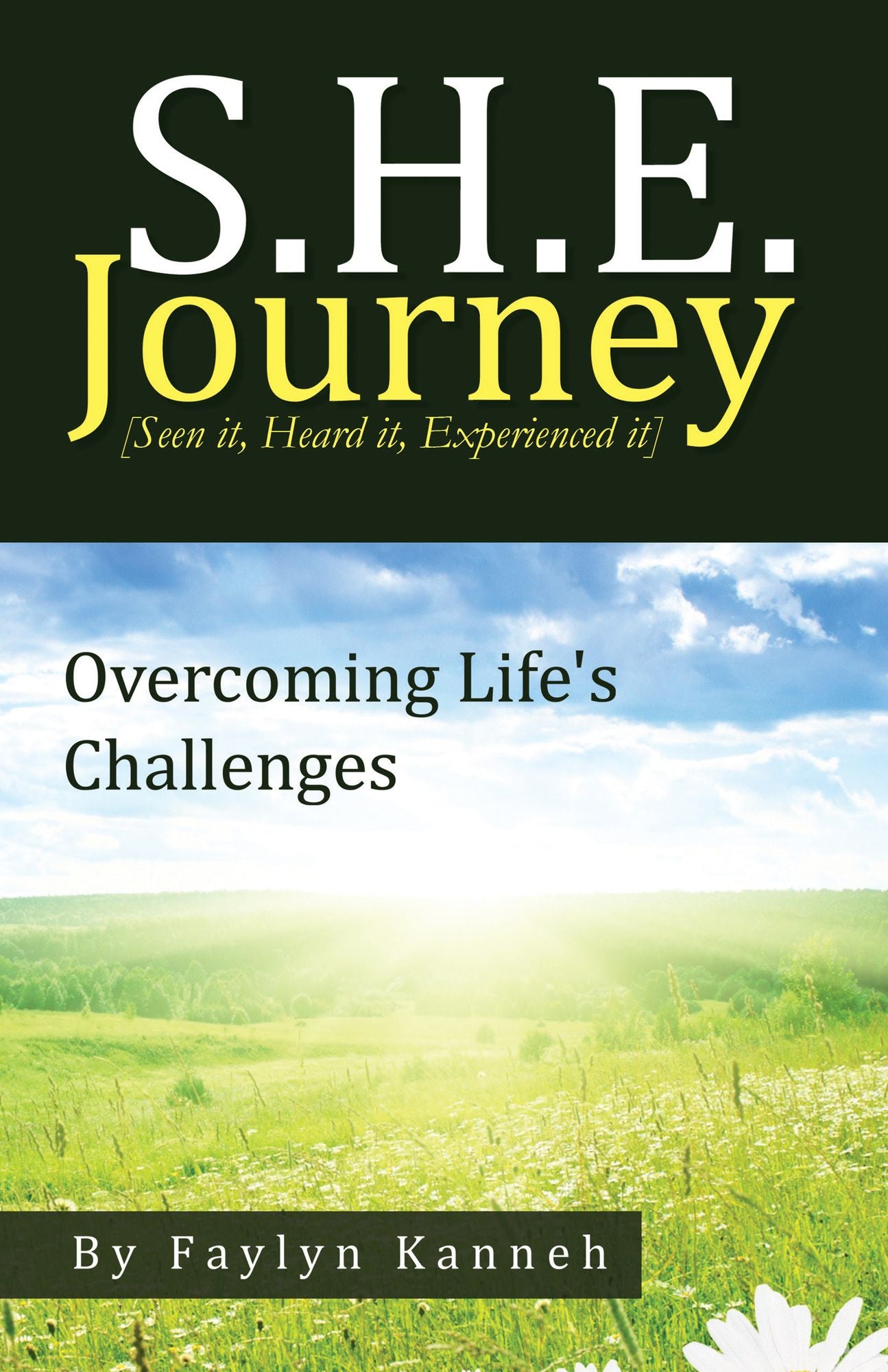 S.H.E. Journey [Seen It, Heard It, Experienced It]: Overcoming Life'S Challenges