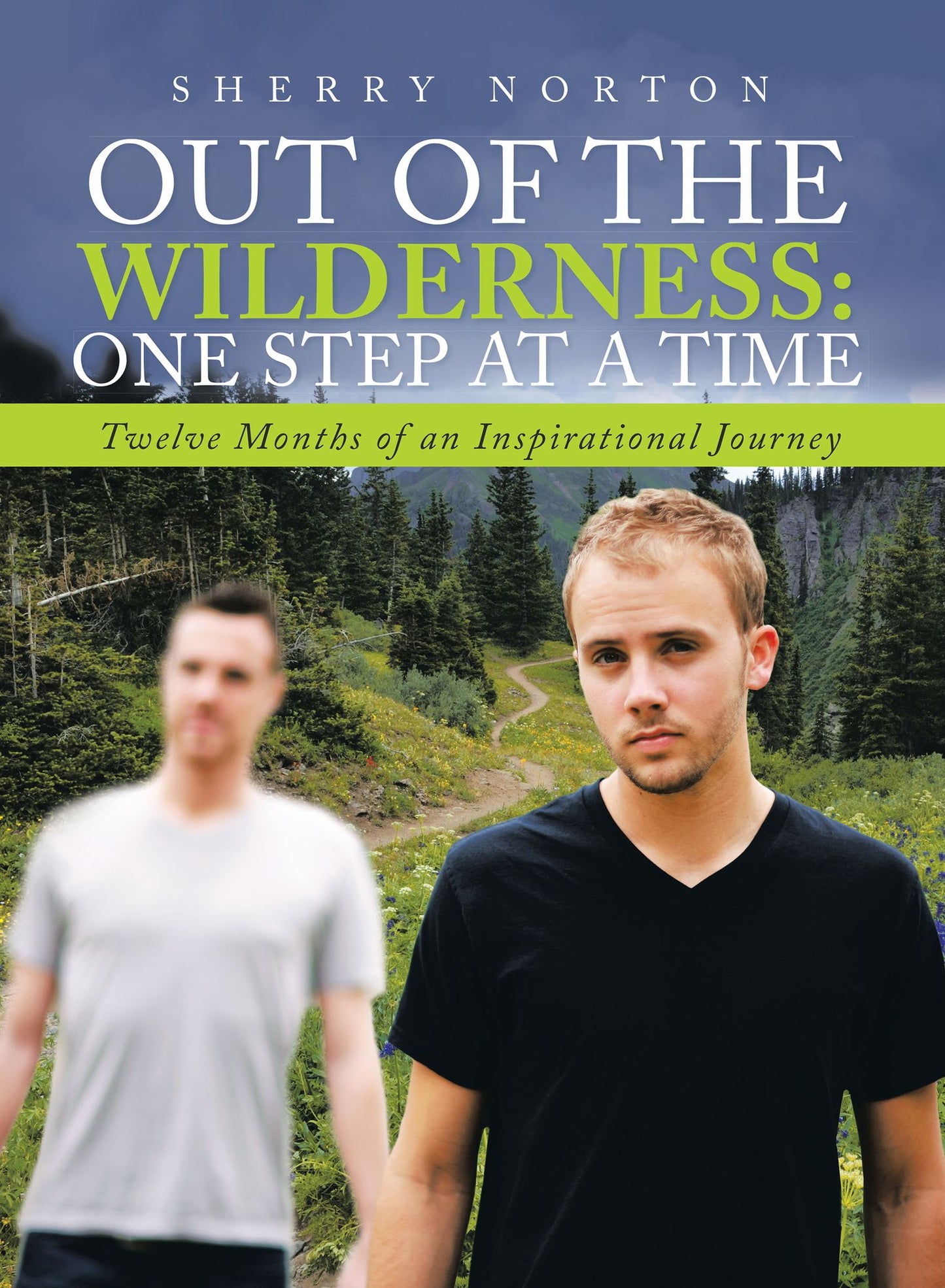 Out of the Wilderness:One Step at a Time: Twelve Months of an Inspirational Journey