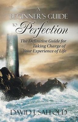 A Beginner's Guide to Perfection: The Definitive Guide for Taking Charge of Your Experience of Life