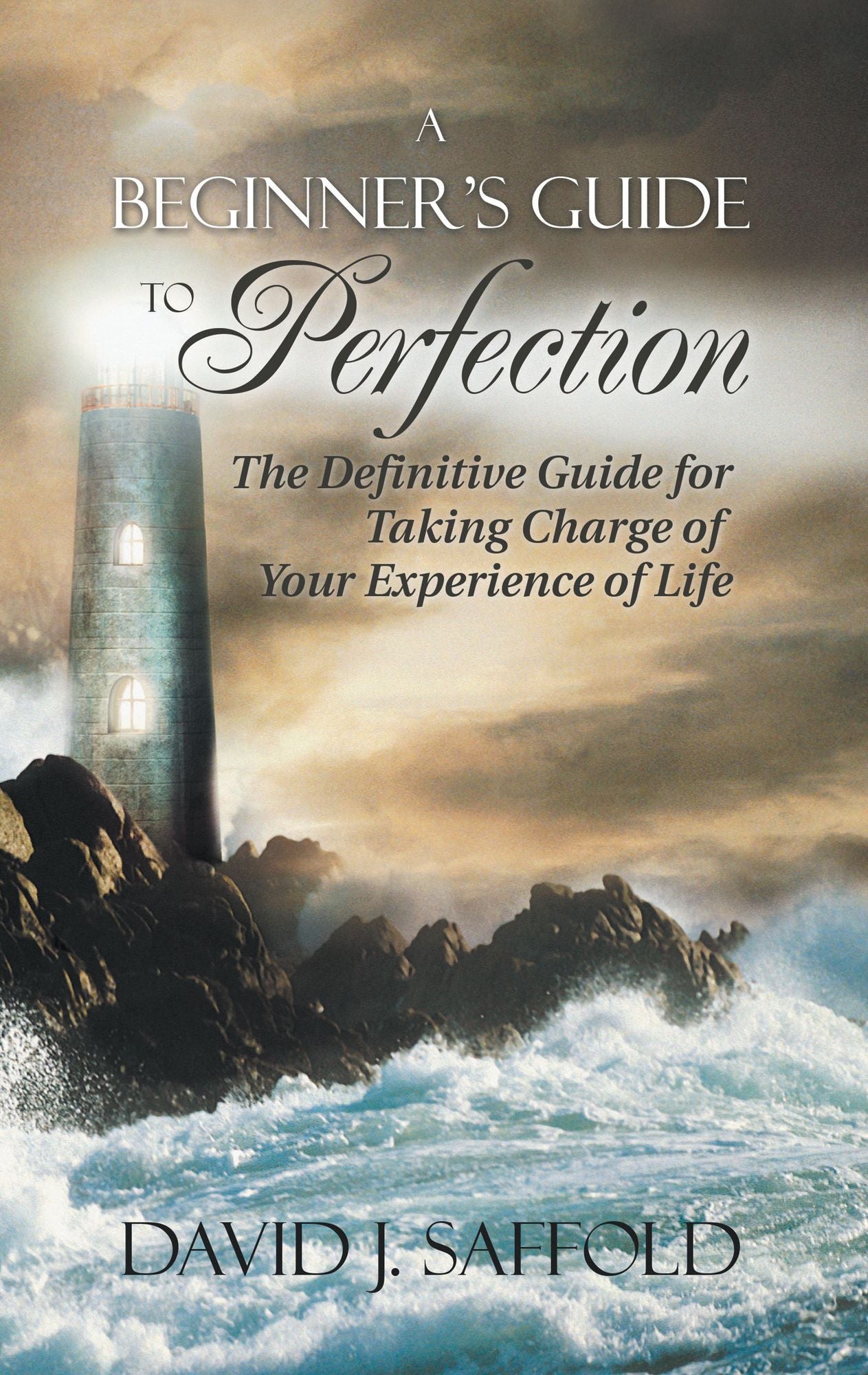 A Beginner'S Guide to Perfection: The Definitive Guide for Taking Charge of Your Experience of Life