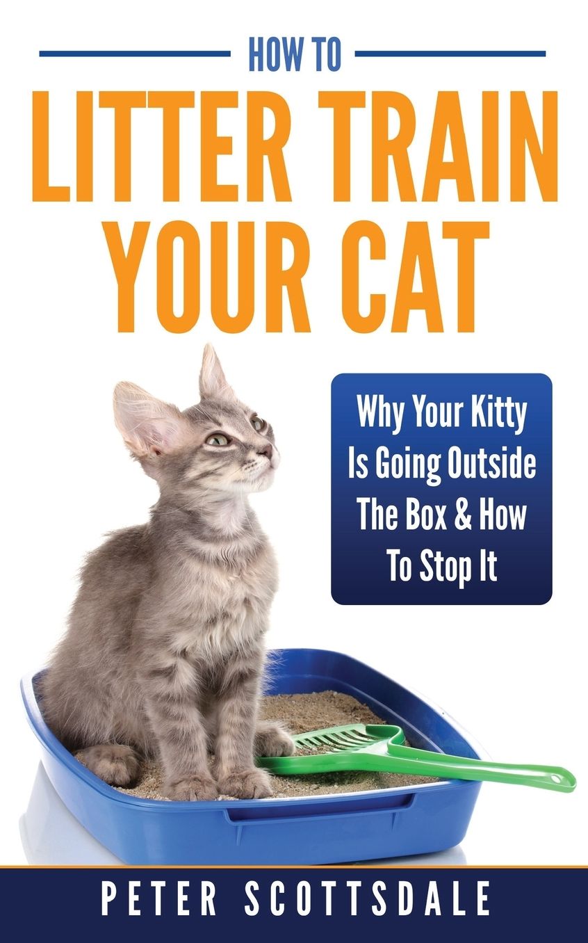 How To Litter Train Your Cat: Why Your Kitty Is Going Outside The Box & How To Stop It