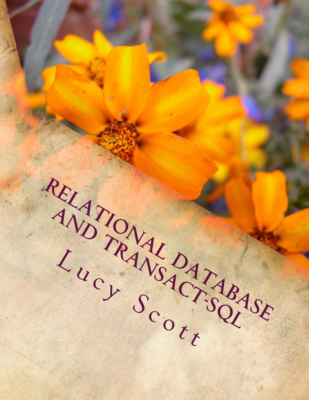 Relational Database and Transact-SQL