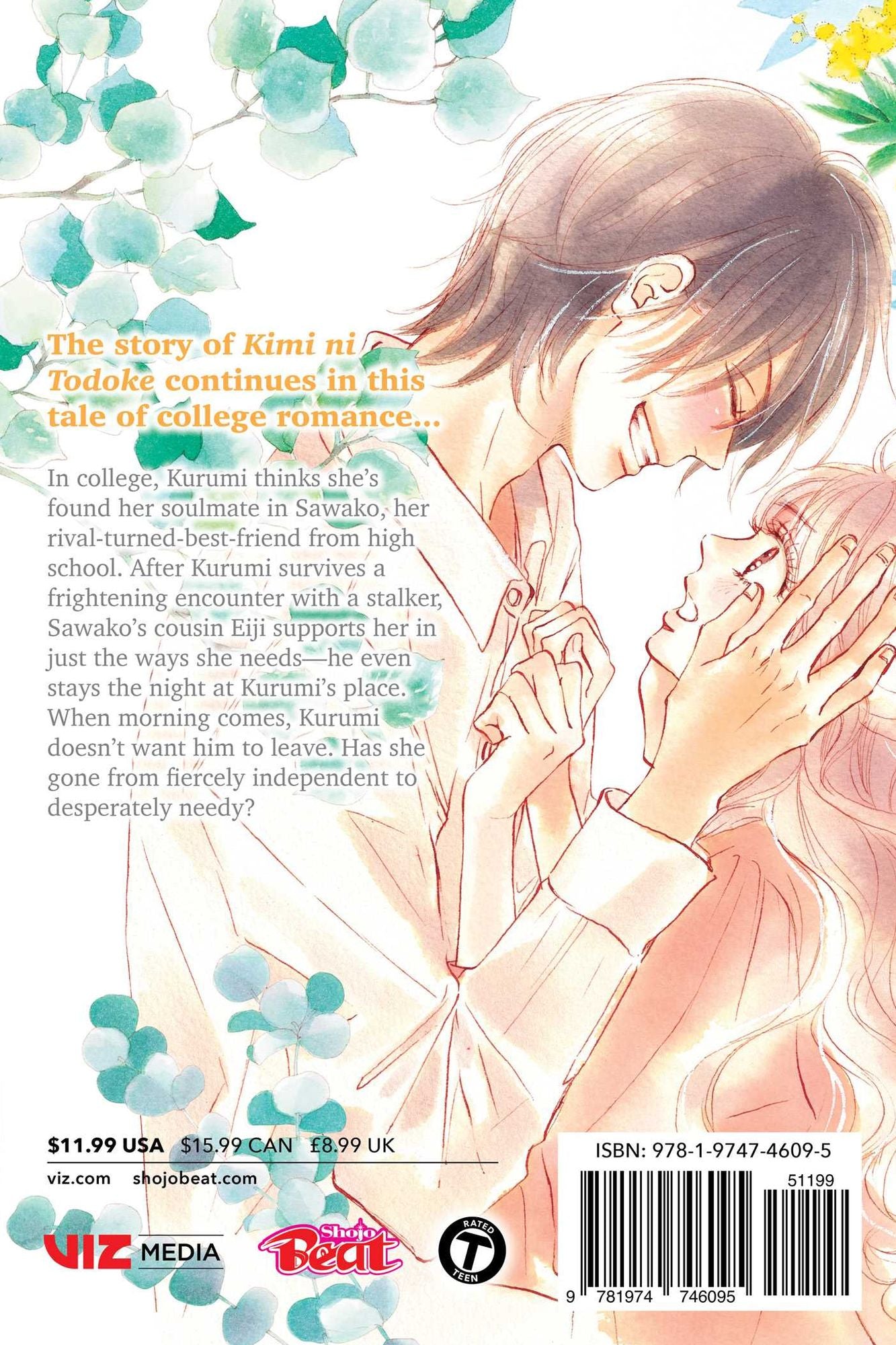 Kimi ni Todoke: From Me to You: Soulmate, Vol. 2