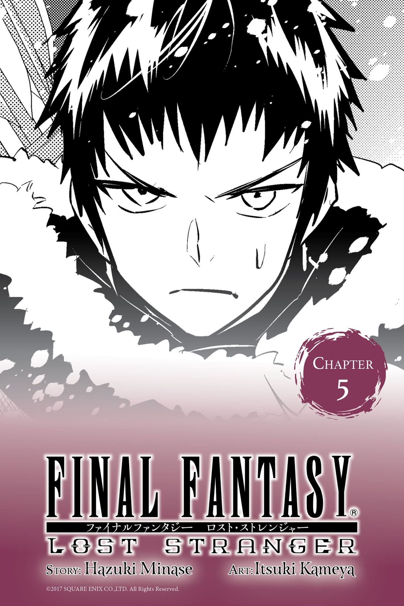 Final Fantasy Lost Stranger, Chapter 5