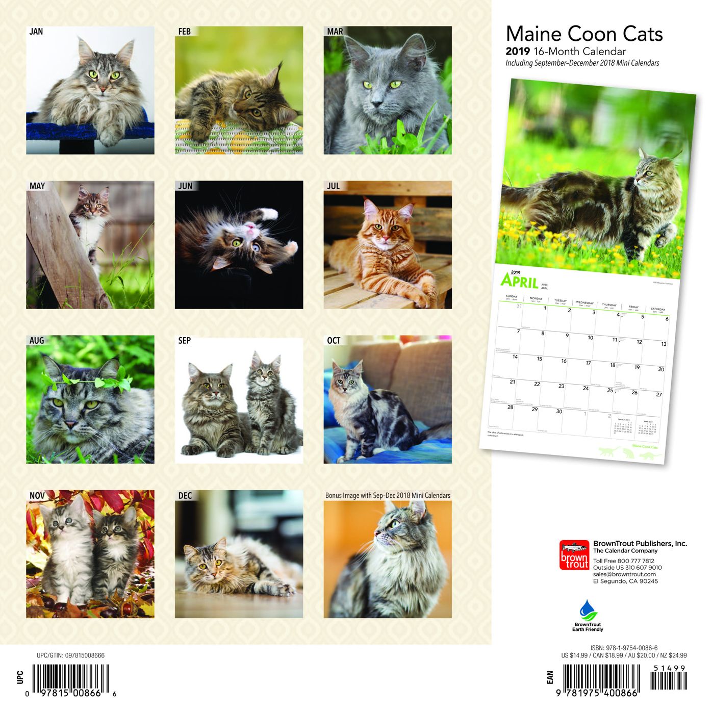 Maine Coon Cats 2019 Square