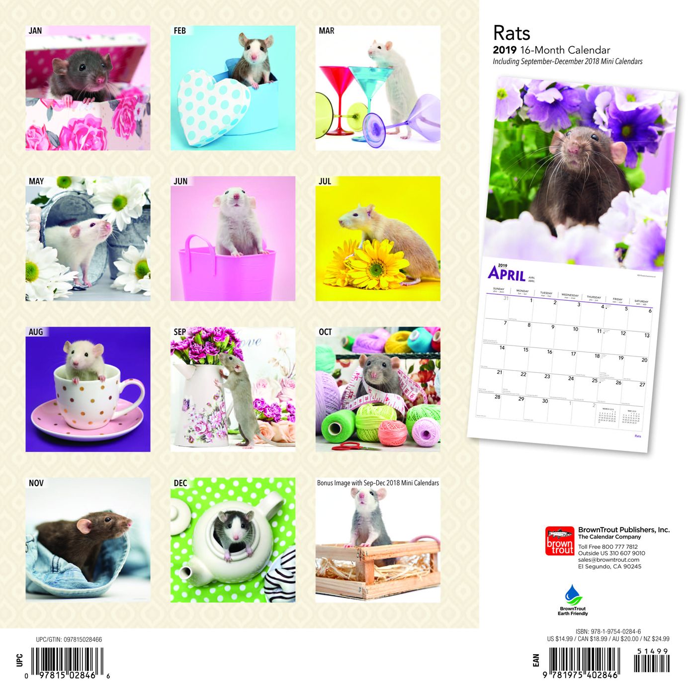 Rats 2019 Square