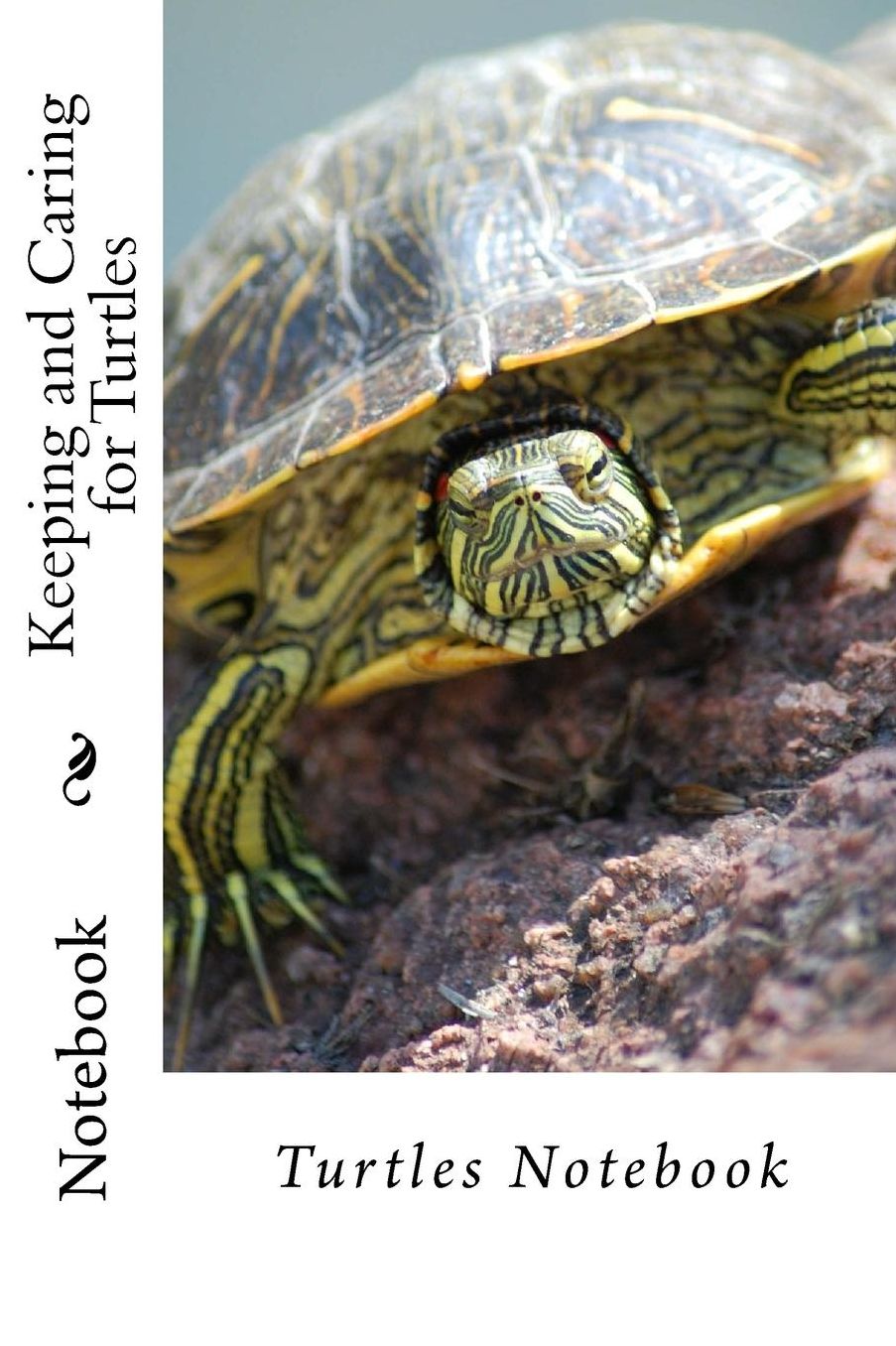 Keeping and Caring for Turtles: Notebook