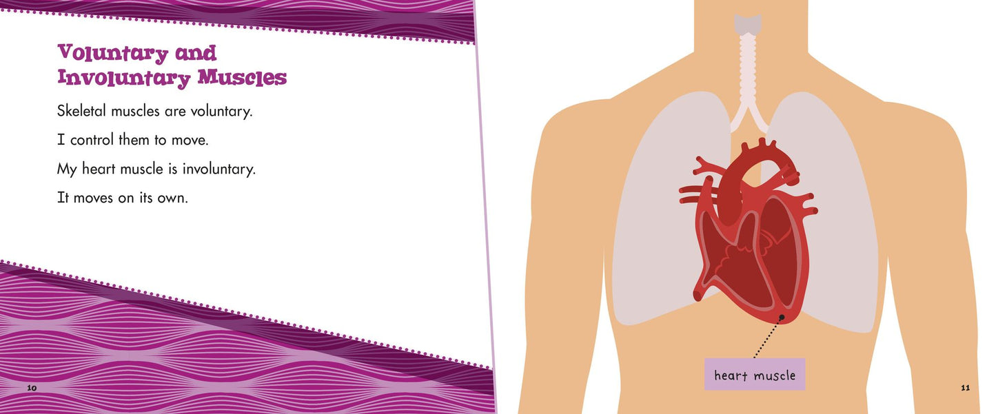 My Muscular System: A 4D Book