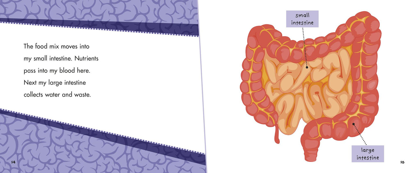 My Digestive System: A 4D Book