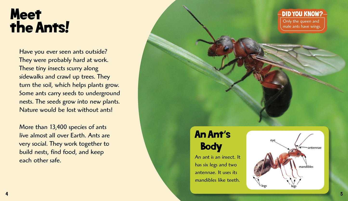 Amazing Ants: A 4D Book
