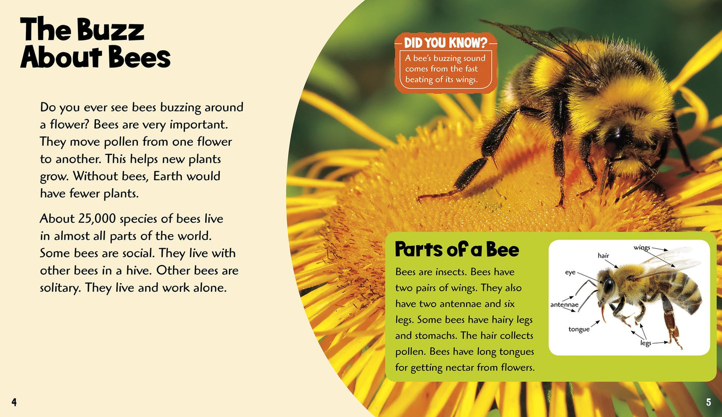 Buzzing Bees: A 4D Book
