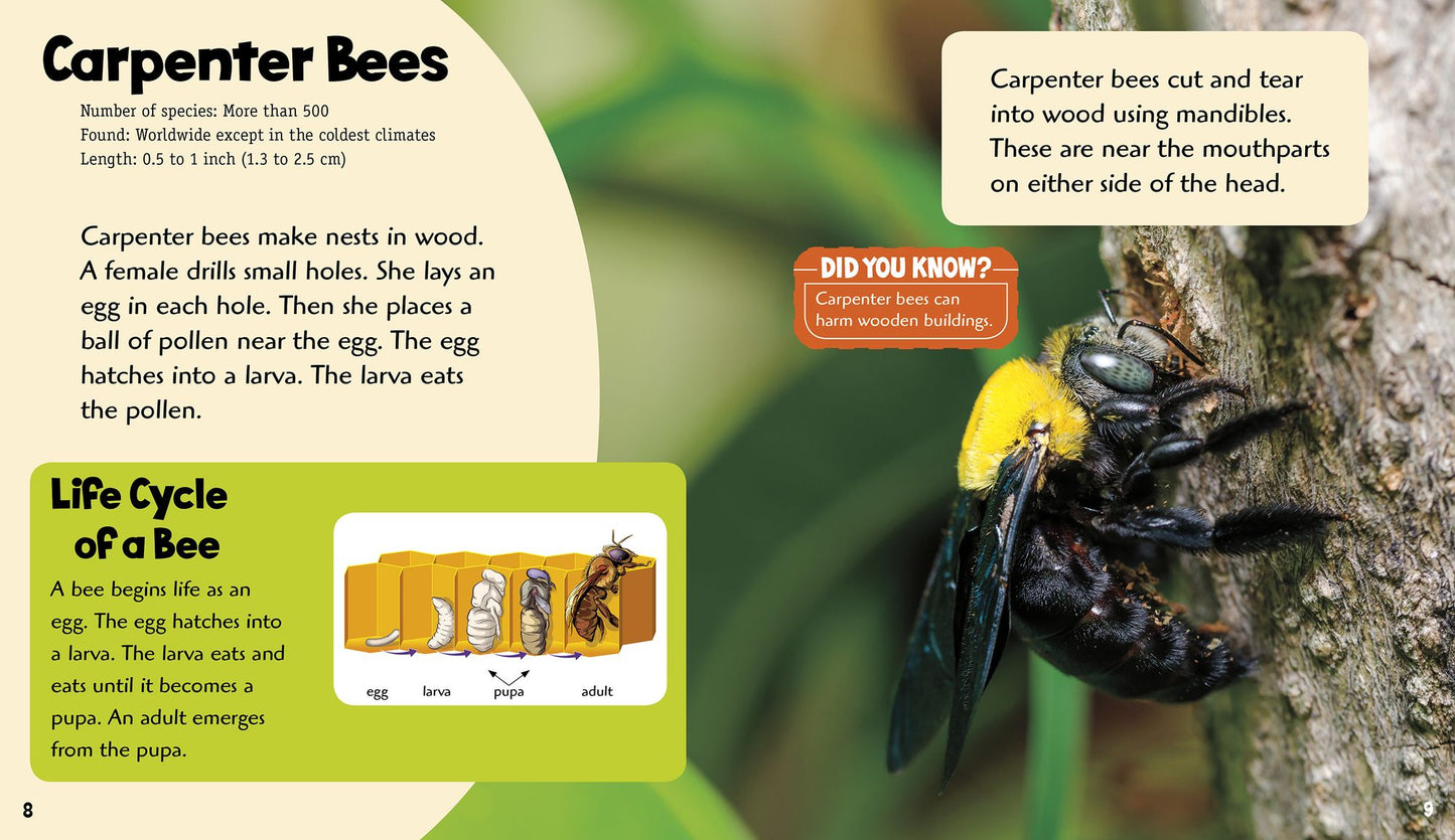 Buzzing Bees: A 4D Book