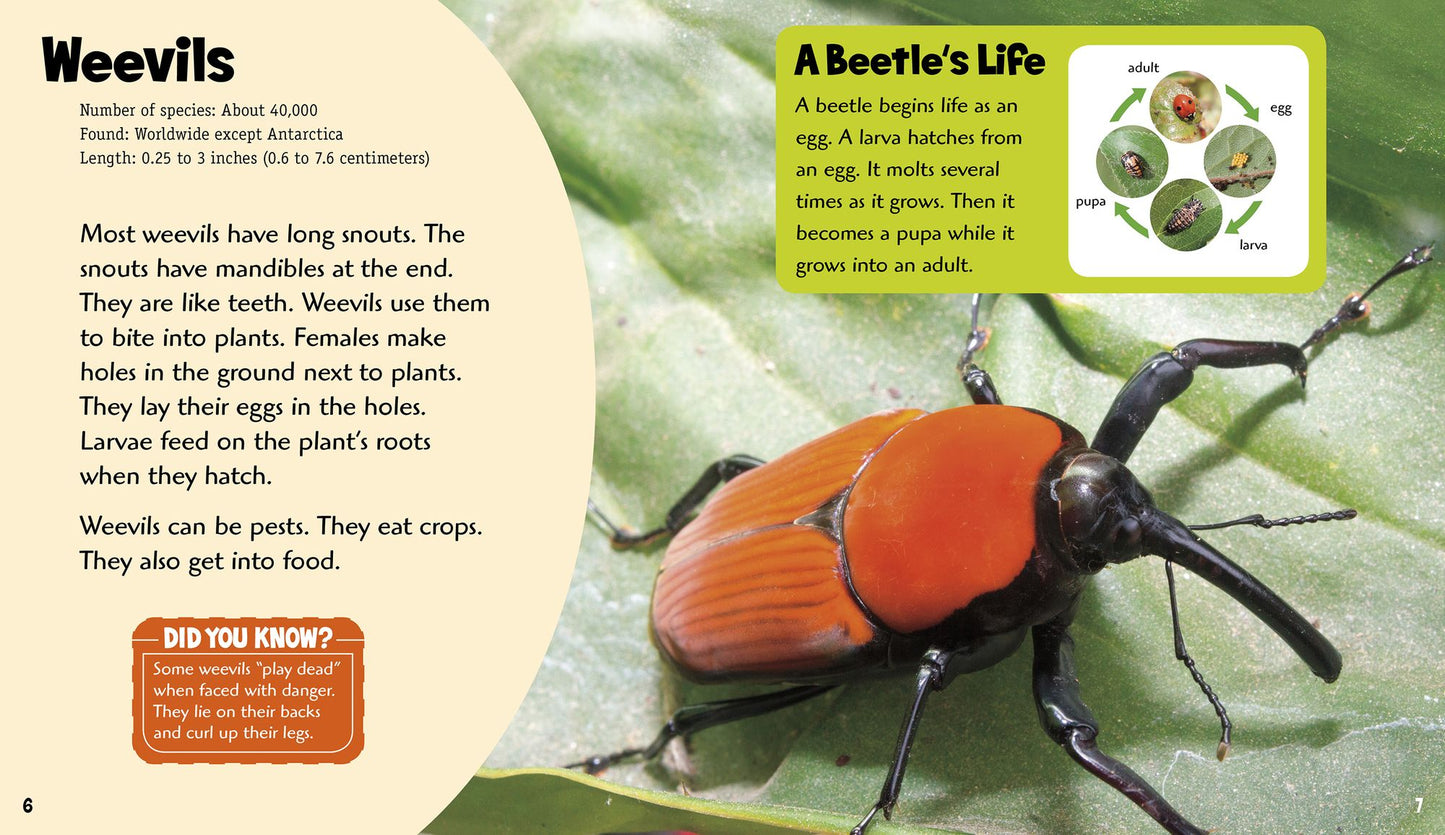 Brilliant Beetles: A 4D Book