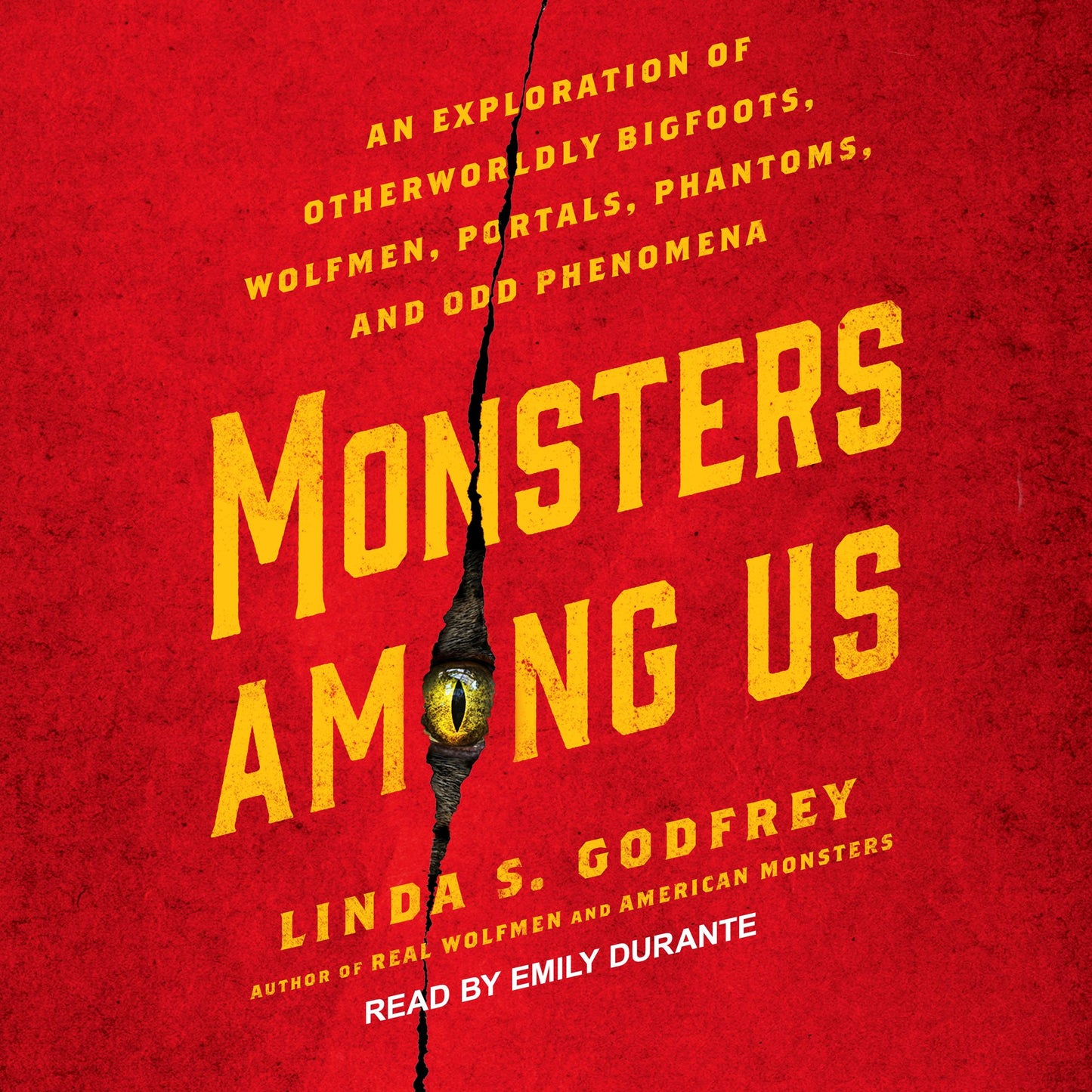 Monsters Among Us: An Exploration of Otherworldly Bigfoots, Wolfmen, Portals, Phantoms, and Odd Phenomena