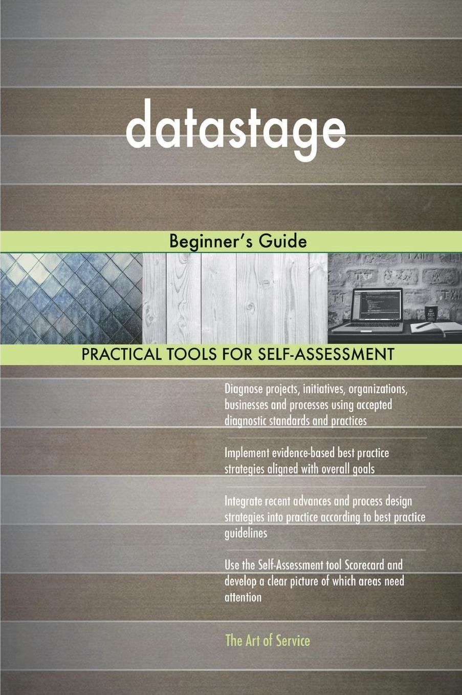 datastage: Beginner's Guide