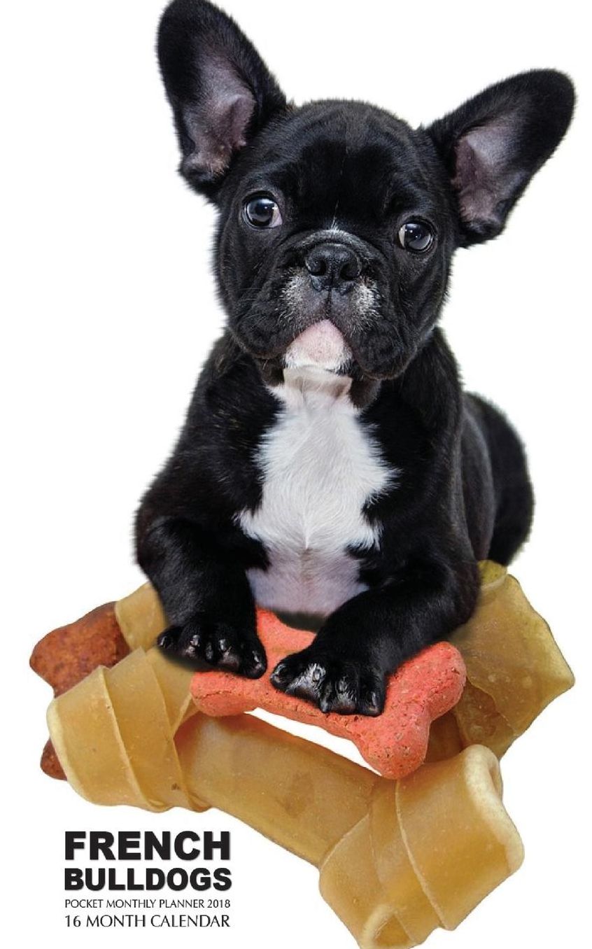 French Bulldogs Pocket Monthly Planner 2018: 16 Month Calendar