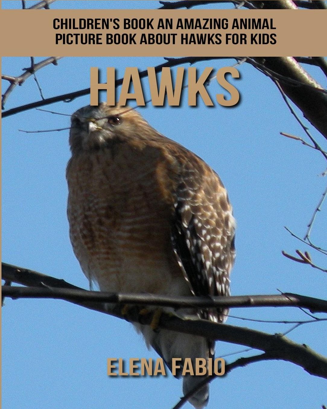 Children's Book: An Amazing Animal Picture Book about Hawks for Kids