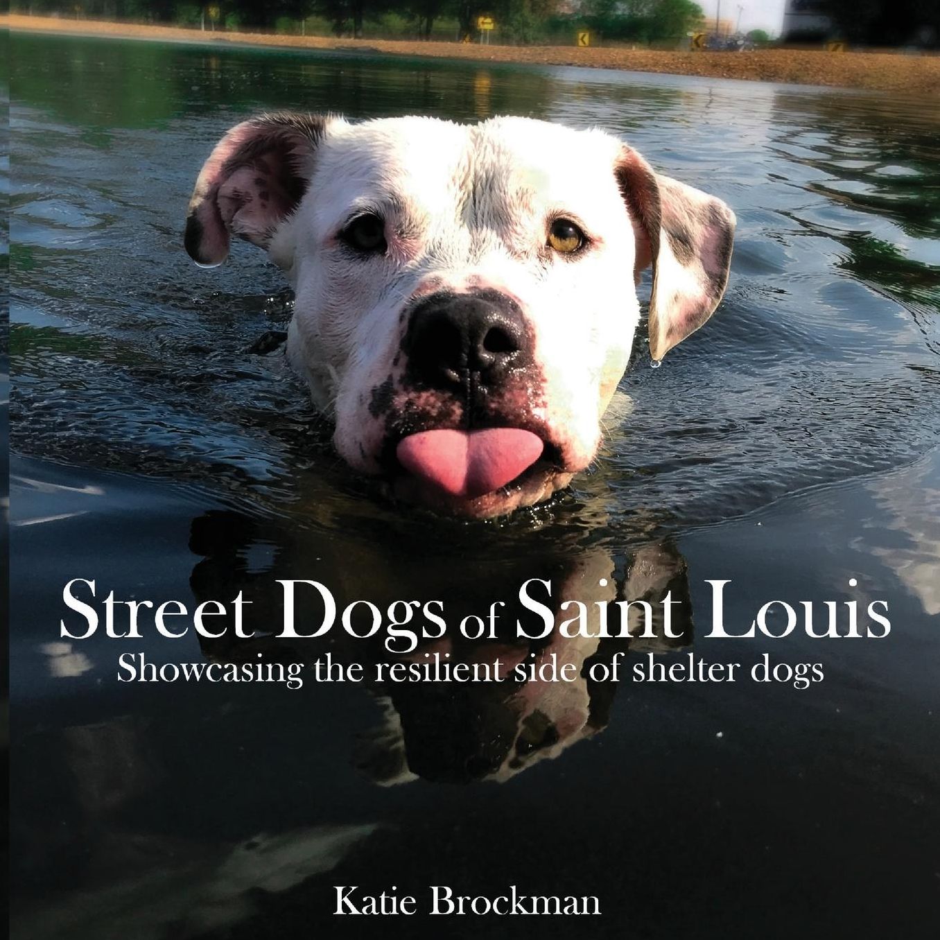 Street Dogs of Saint Louis: Showcasing the resilient side of shelter dogs