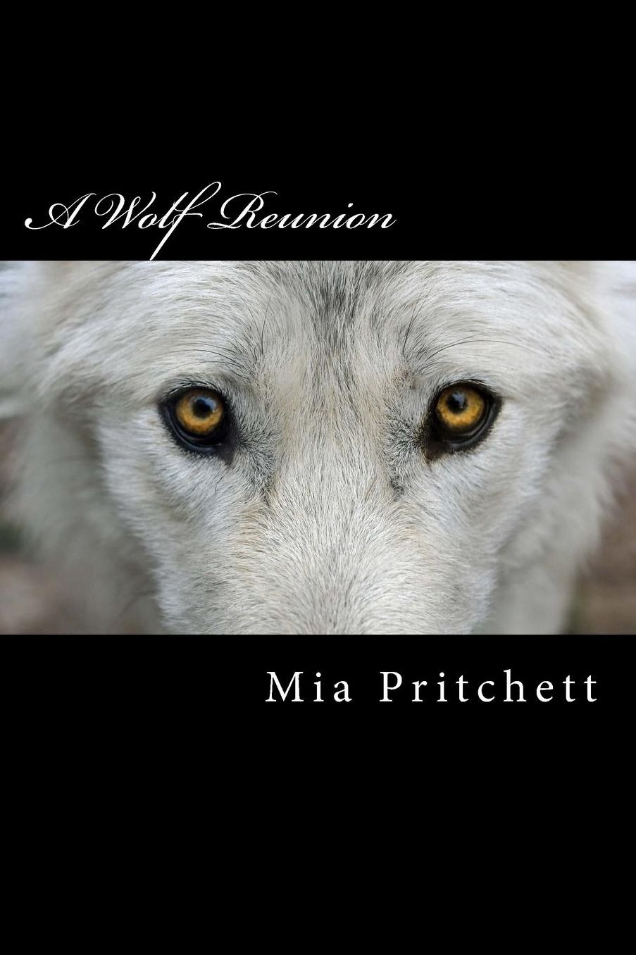 A Wolf Reunion
