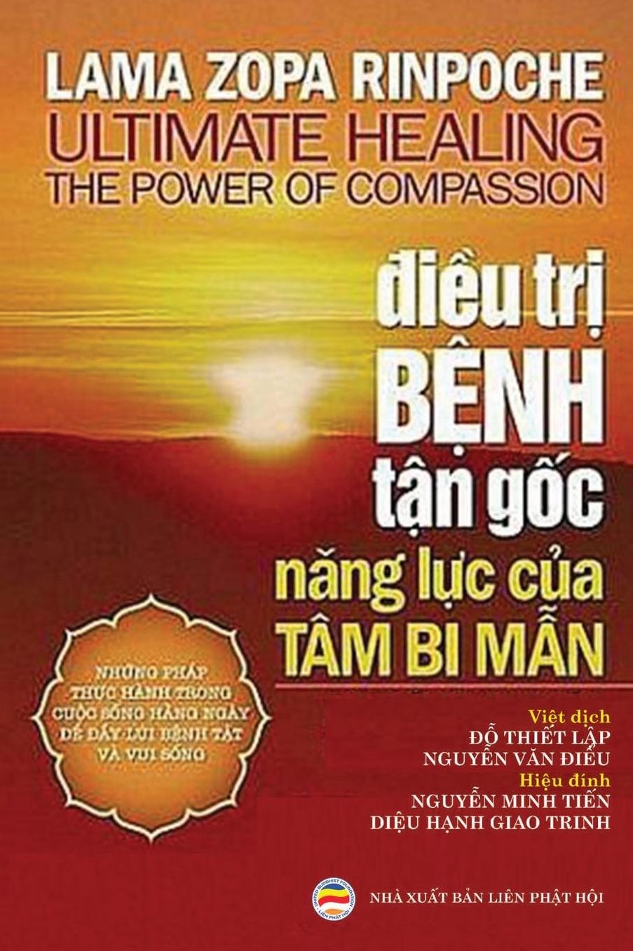 Điều Trị Bệnh Tận Gốc: Năng Lực Của Tam Bi Mẫn