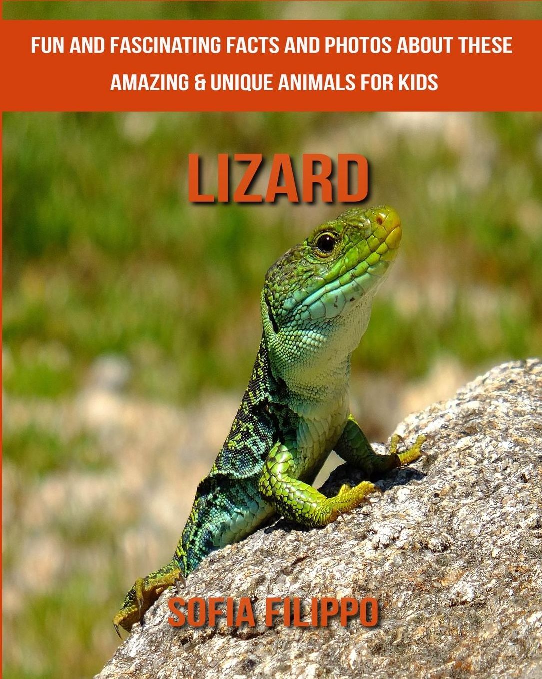 Lizard: Fun and Fascinating Facts and Photos about These Amazing & Unique Animals for Kids