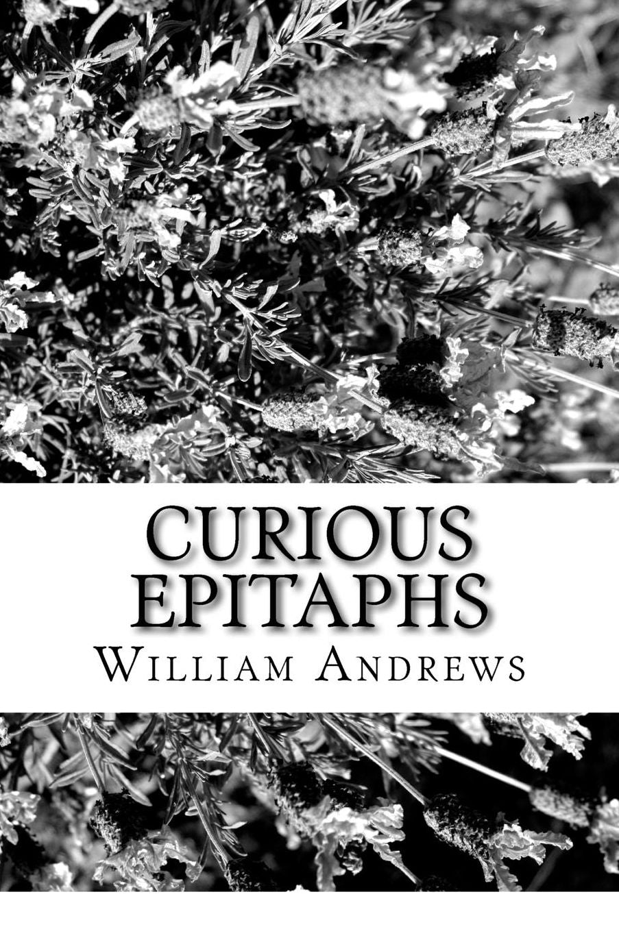 Curious Epitaphs