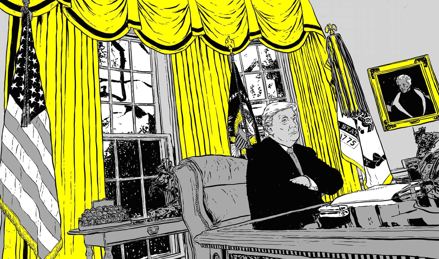 The Mueller Report Illustrated : The Obstruction Investigation
