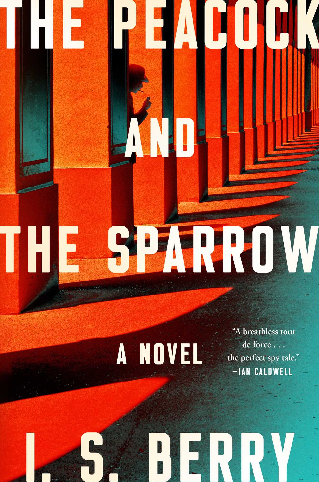 The Peacock and the Sparrow: A Novel