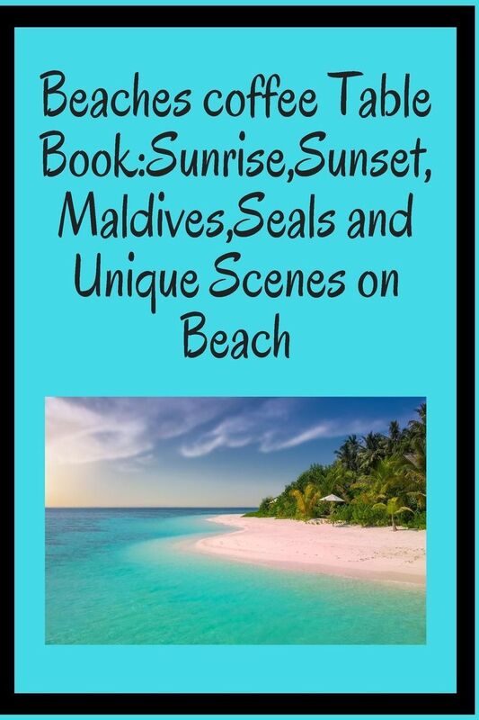 Beaches coffee Table Book: Sunrise,Sunset,Maldives,Seals and Unique Scenes on Beach