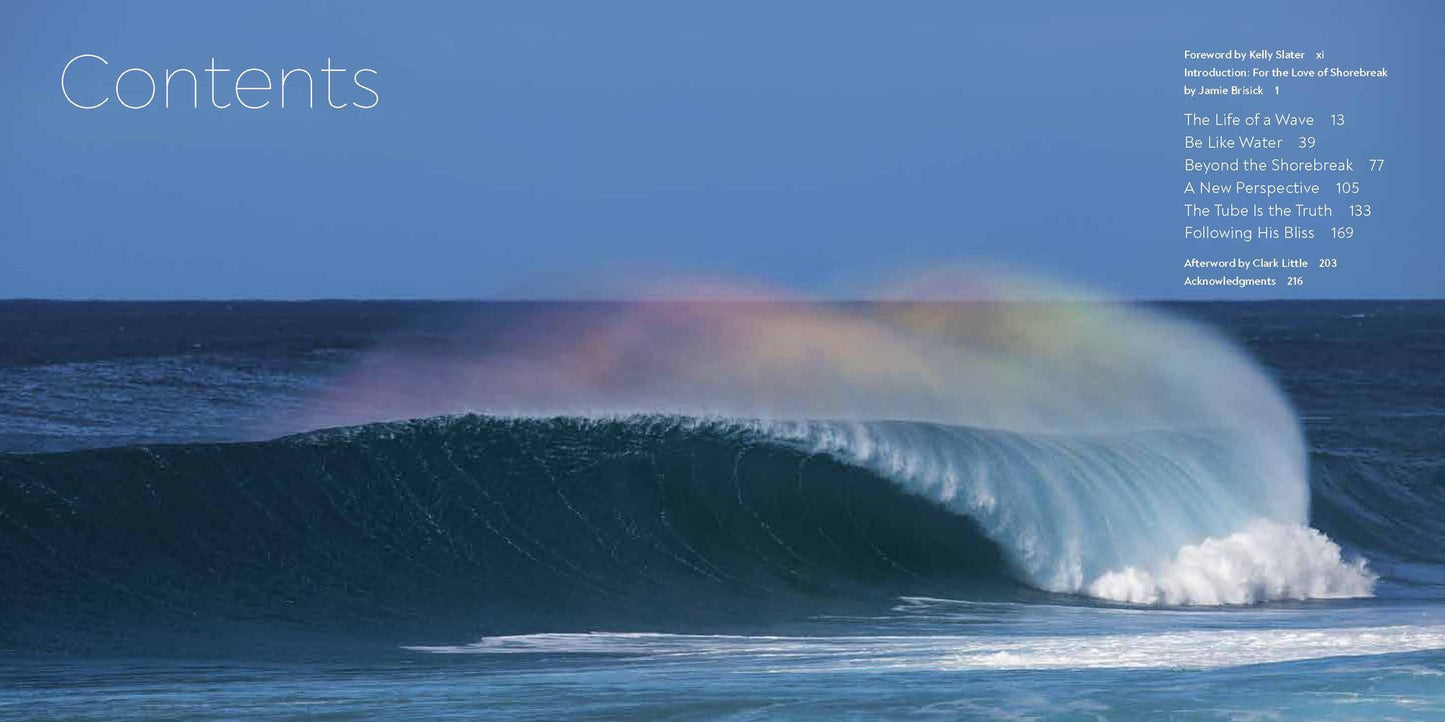 Clark Little: The Art of Waves