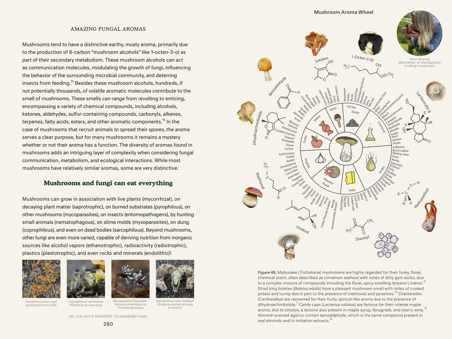 Dr. Fun Guy's Passport to Kingdom Fungi: A Scientist's Guide to the Wild and Wonderful World of Mushrooms, Molds, and More