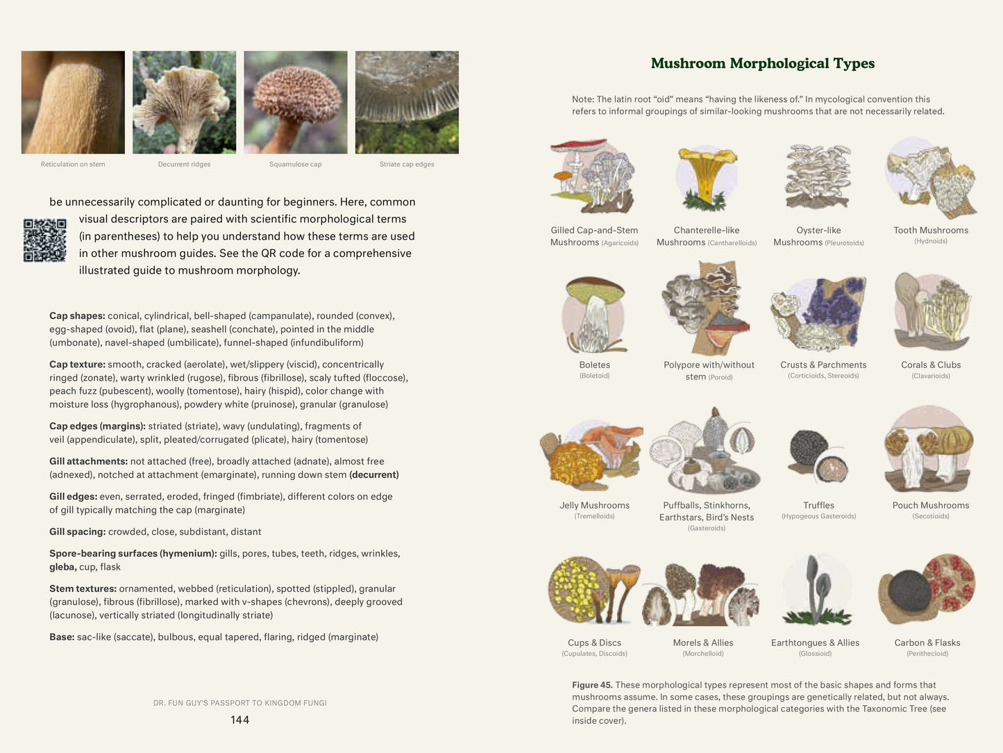 Dr. Fun Guy's Passport to Kingdom Fungi: A Scientist's Guide to the Wild and Wonderful World of Mushrooms, Molds, and More