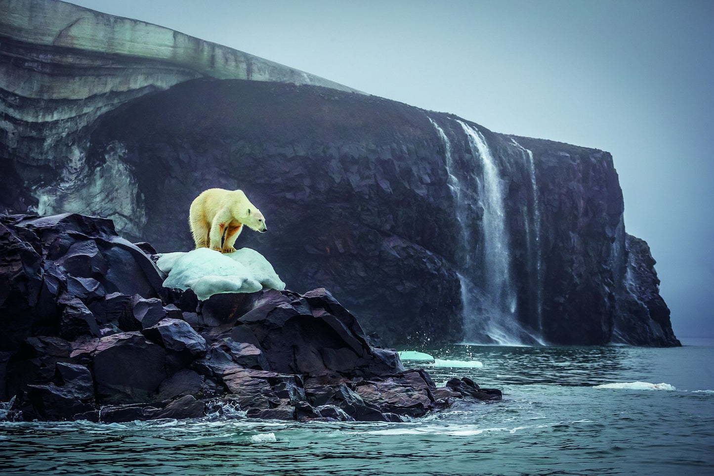 Bi-Polar: Photographs from an Unquiet Mind